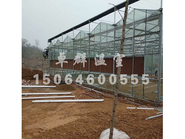 邵莊鎮生態餐廳溫室.jpg