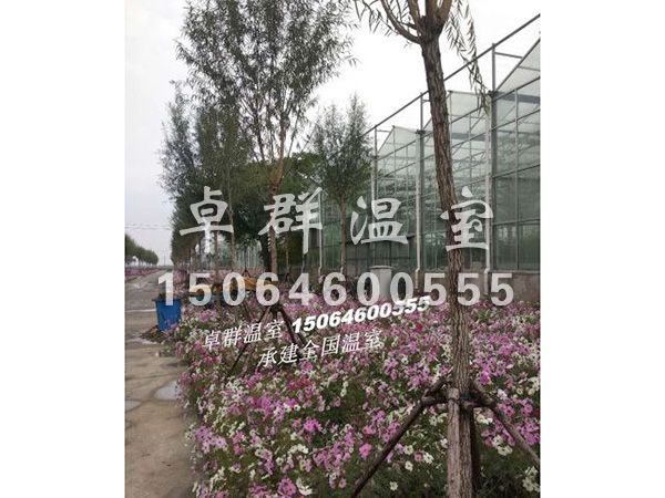 天津市西青區(qū)水生植物園