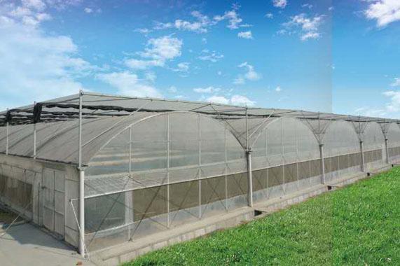 現在建造一個蔬菜溫室大棚大概需要多少錢？