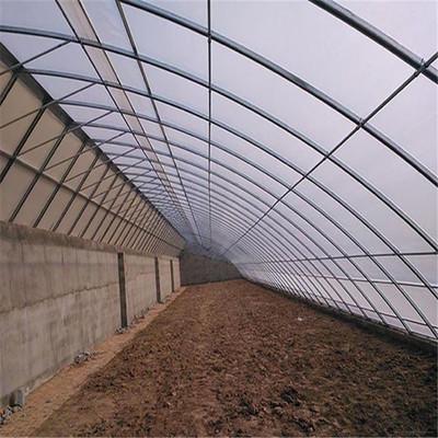 日光溫室大棚的造價是多少